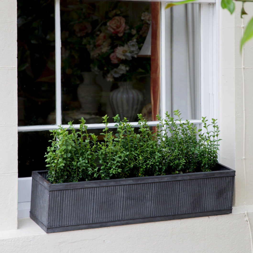 Vence Window Box - 90CM June Delivery