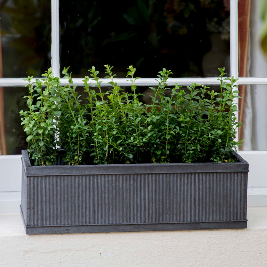 Vence Window Box - 60cm