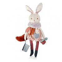 Thumbnail for Activity Rabbit Après la Pluie