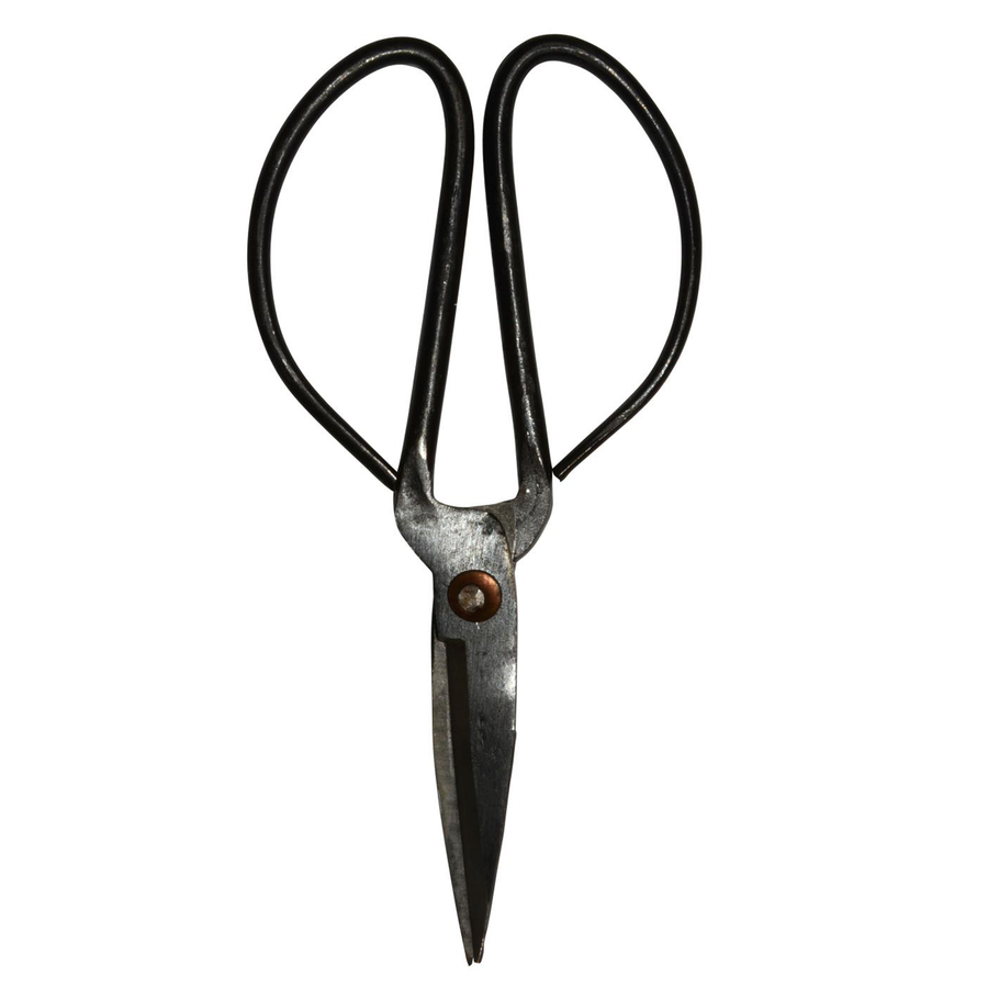 Scissors medium