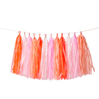 Thumbnail for Pink Tassel Garland