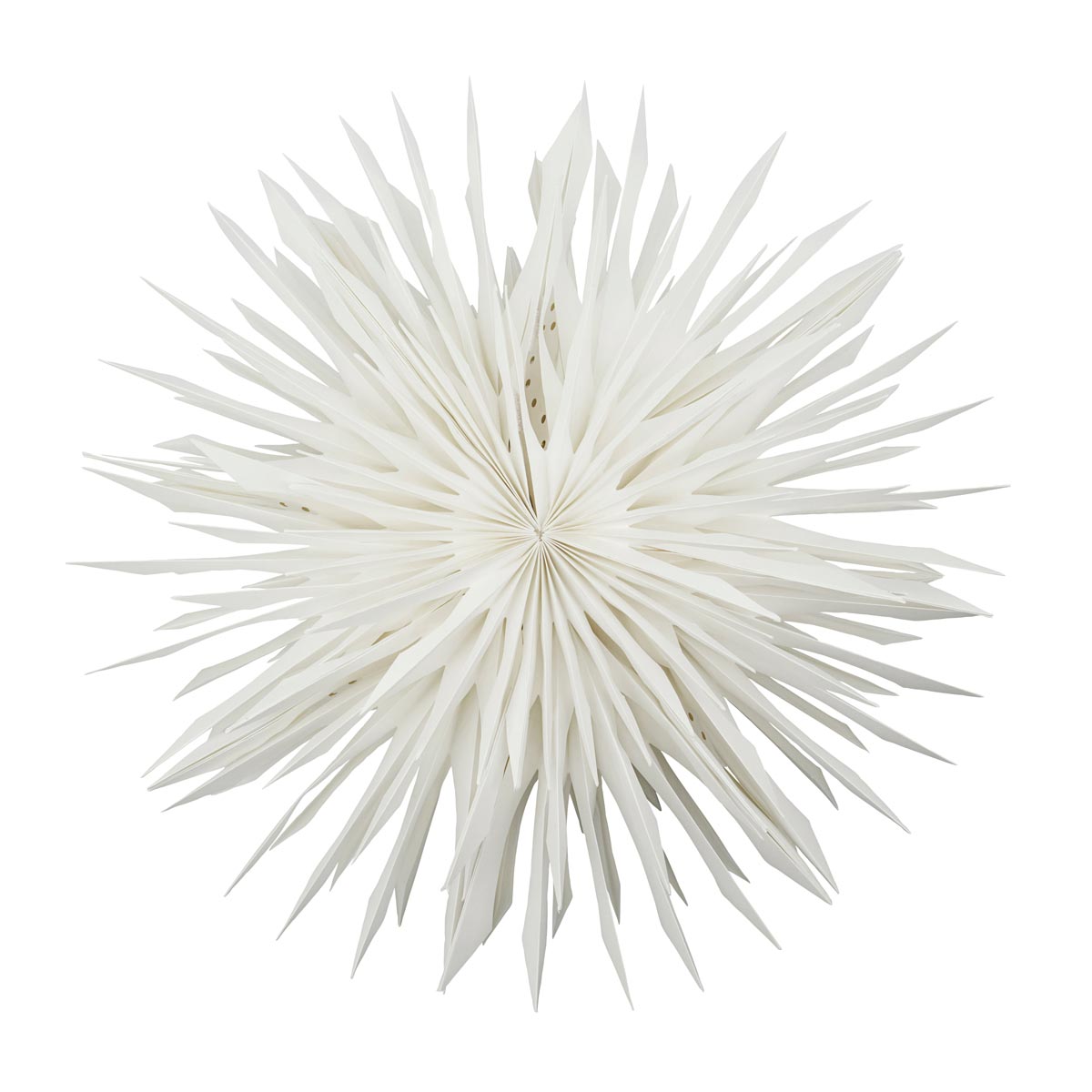 Star Reef Off White 50cm