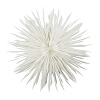 Thumbnail for Star Reef Off White 50cm