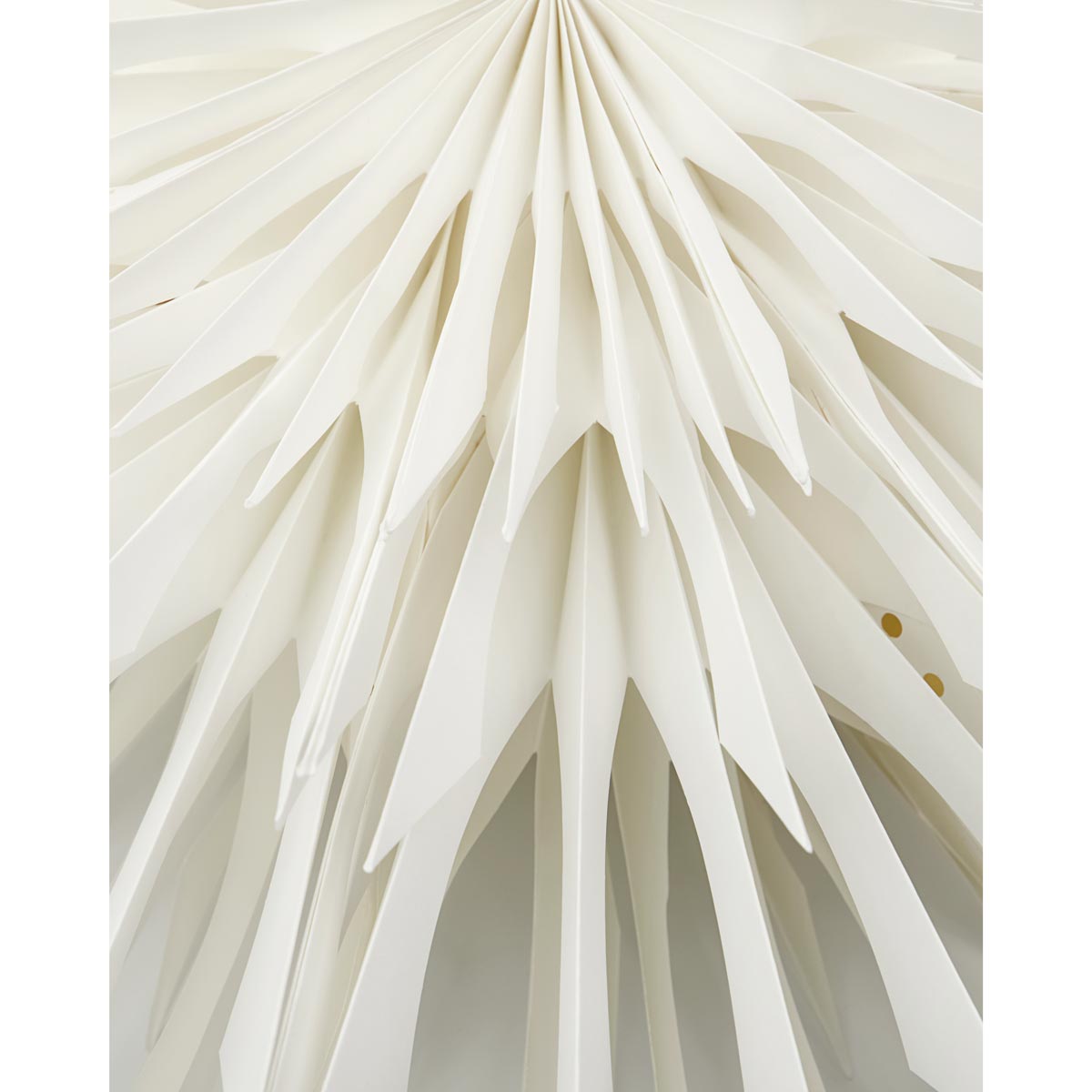 Star Reef Off White 50cm