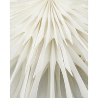 Thumbnail for Star Reef Off White 50cm