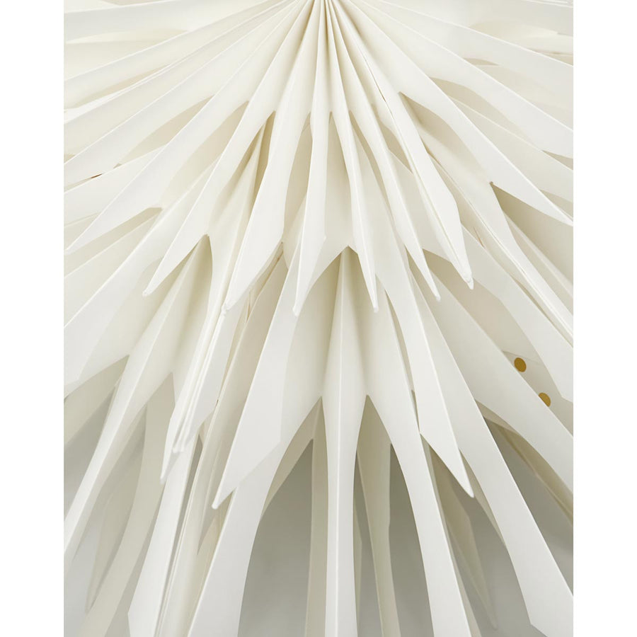 Star Reef Off White 50cm