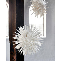 Thumbnail for Star Reef Off White 50cm