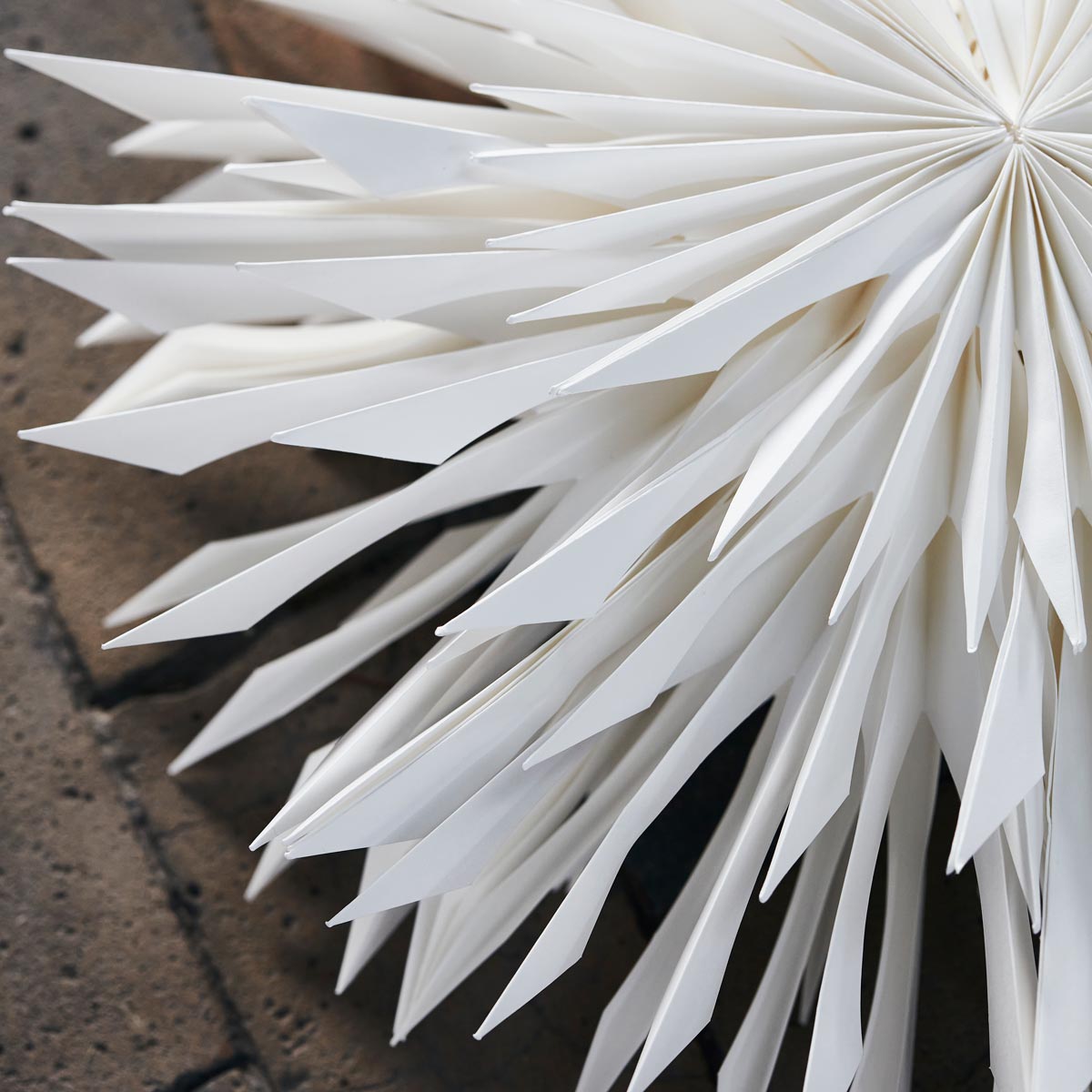 Star Reef Off White 50cm