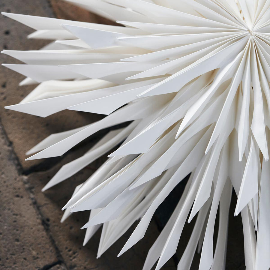 Star Reef Off White 50cm