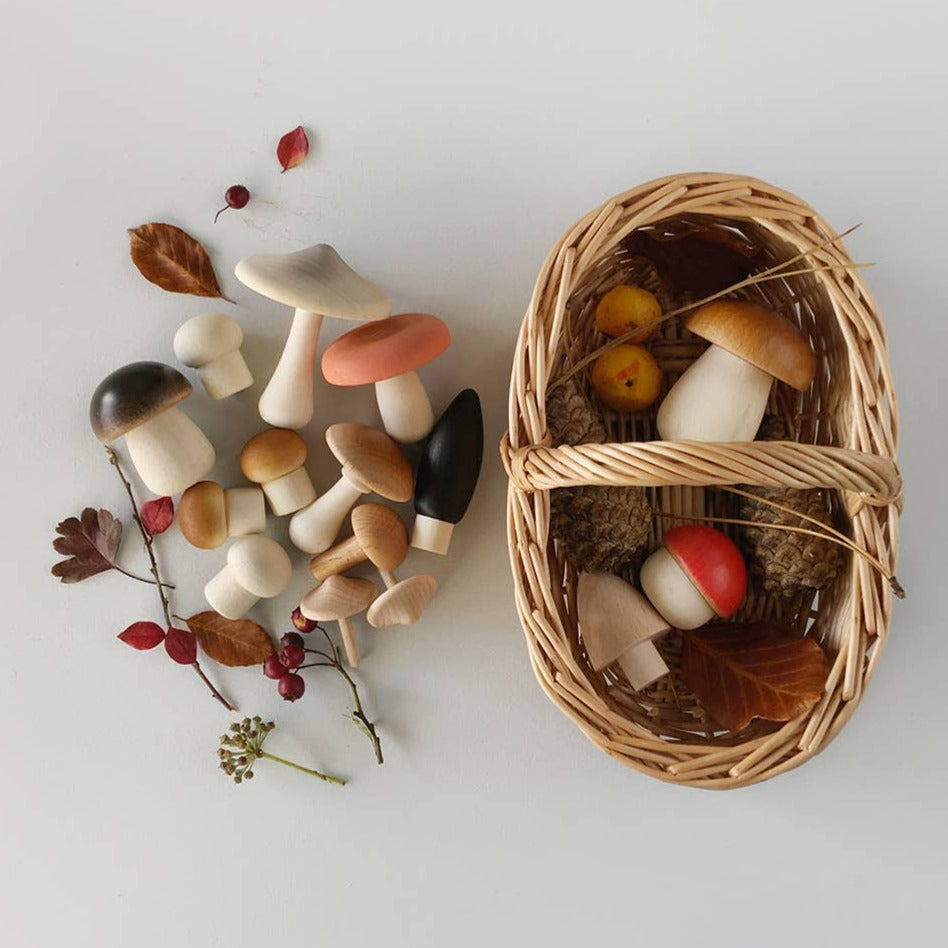 Moon Picnic Forest Mushrooms Basket