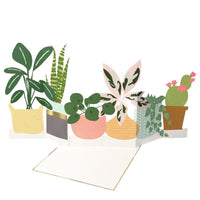 Thumbnail for Meri Meri Potted Plant Concertina Card