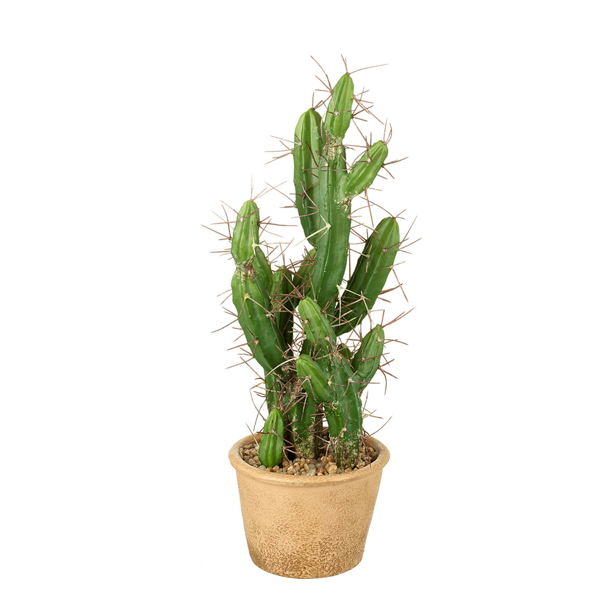 Desert Cactus Potted 46cm