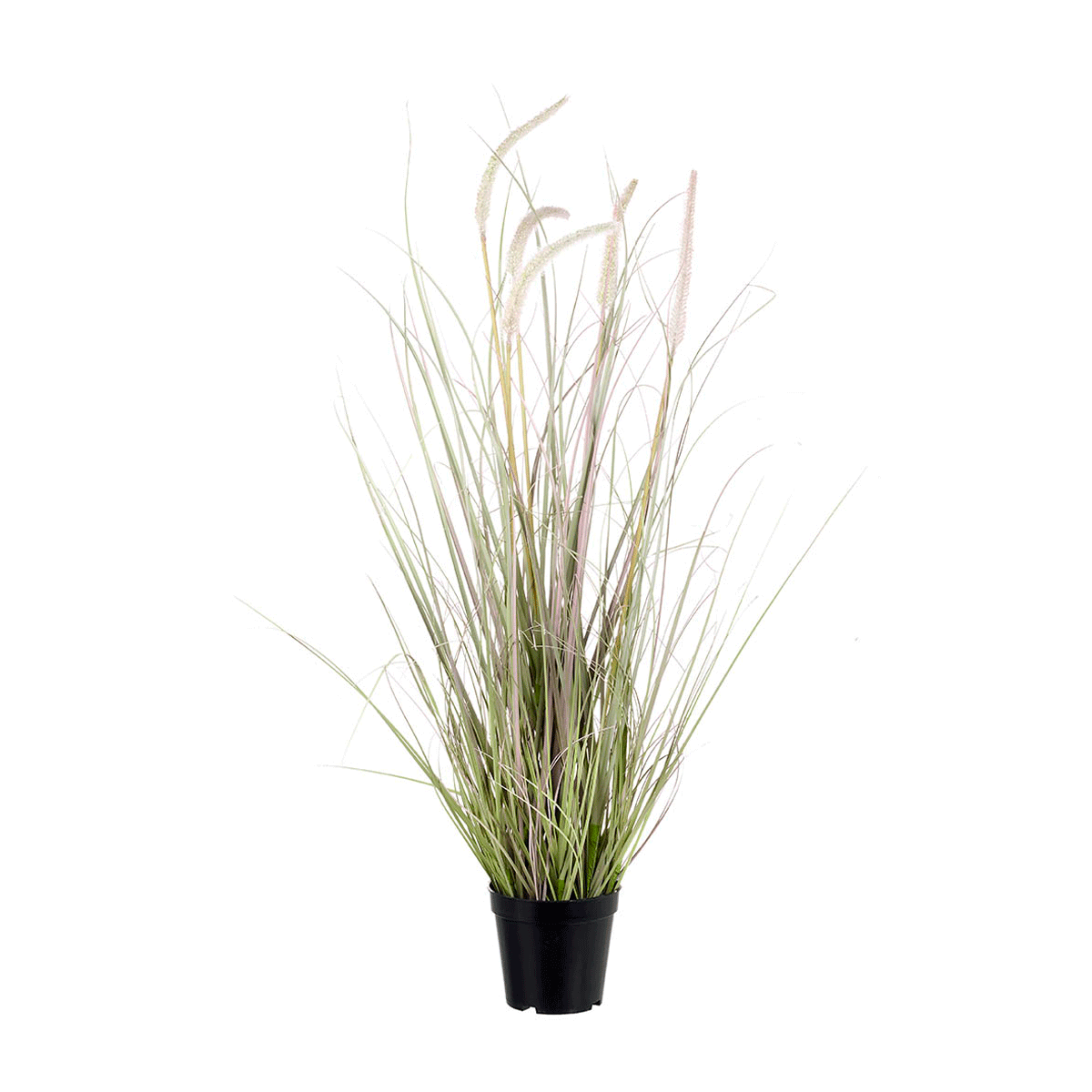 Potted Grass Cattails 90cm