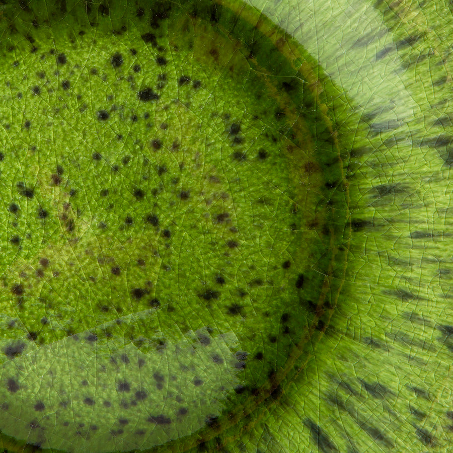 HK Living The emeralds: dinner plate, spotted green (set of 2) ACE7015