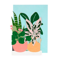 Thumbnail for Meri Meri Potted Plant Concertina Card