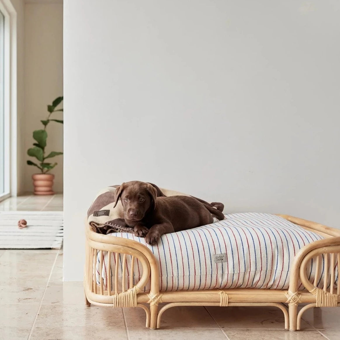 Rattan dog best sale bed