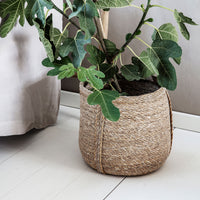 Thumbnail for Seagrass Basket, natural Plant pot storage from House doctor