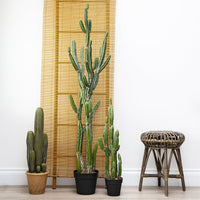 Thumbnail for Desert Cactus Potted 74cm