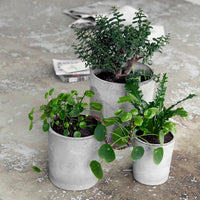 Thumbnail for Concrete Planter, Ave, Light grey society of lifestyle